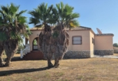 Xalet independent amb terreny en venda a la España, Catral, ref.: TR351975 foto