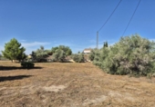 Xalet independent amb terreny en venda a la España, Catral, ref.: TR351975 foto