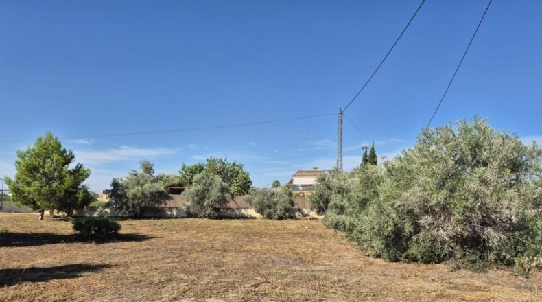 Alicante - Catral - 2600m2