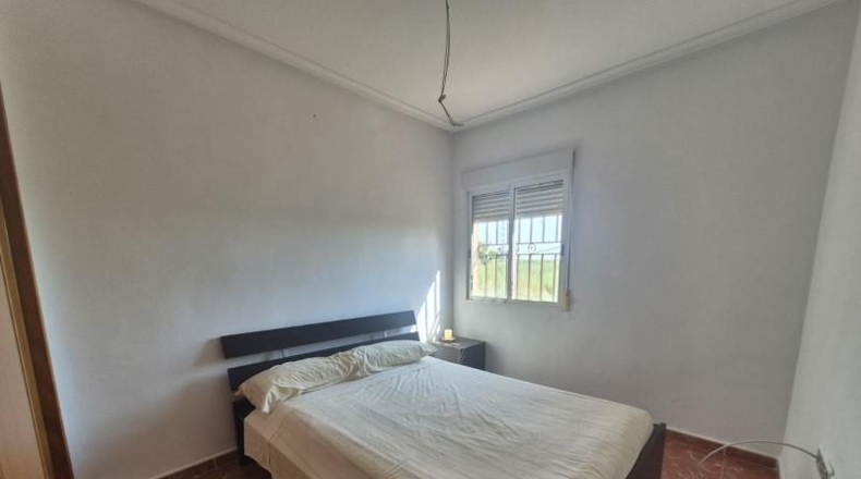Alicante - Catral - 2600m2