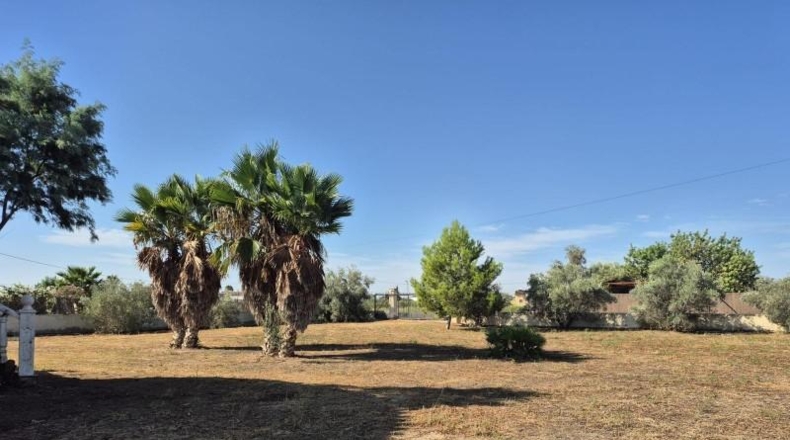 Alicante - Catral - 2600m2
