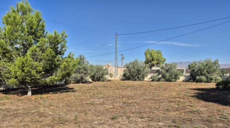 Alicante - Catral - 2600m2
