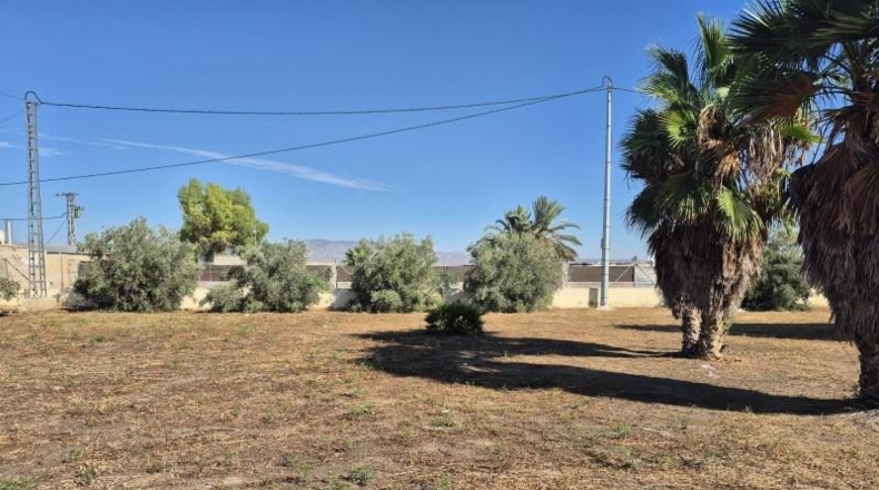 Alicante - Catral - 2600m2