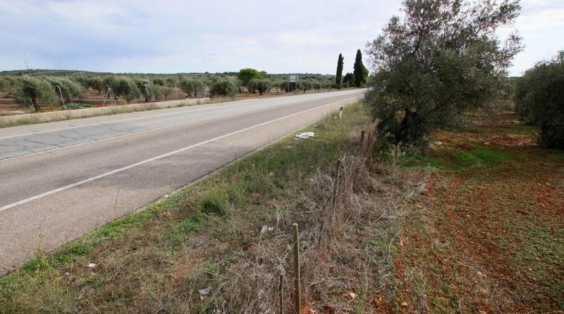 Badajoz - Olivenza - 5500m2