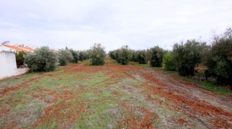 Badajoz - Olivenza - 5500m2