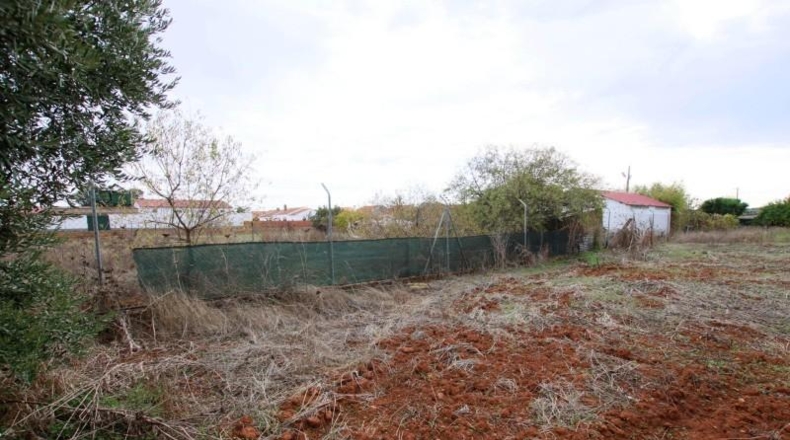 Badajoz - Olivenza - 5500m2