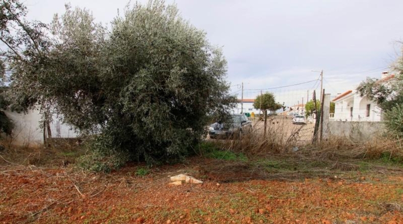 Badajoz - Olivenza - 5500m2