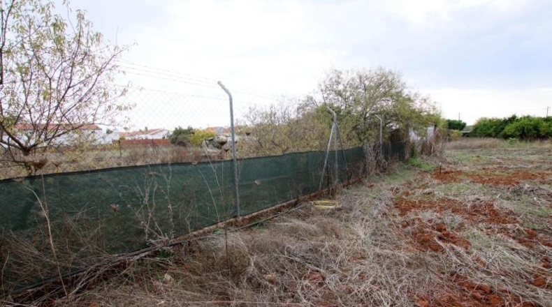 Badajoz - Olivenza - 5500m2
