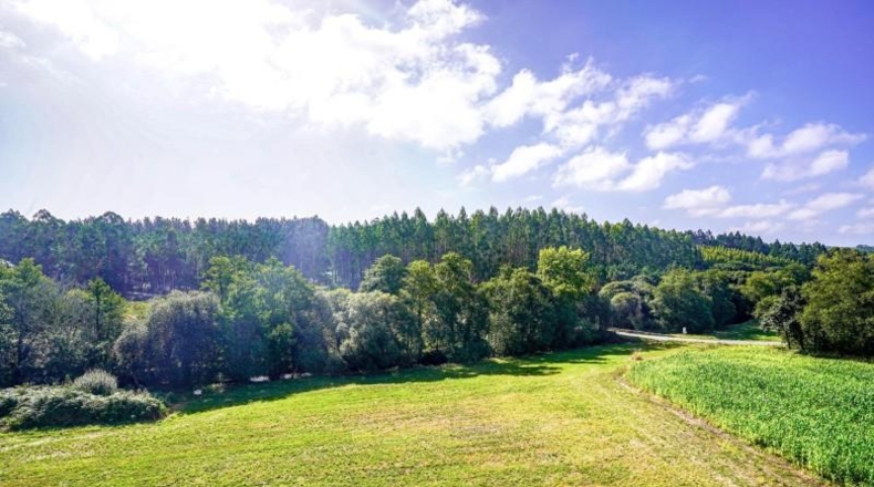La Coruña - Carballo - 600m2