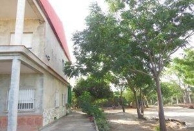 Foto 10