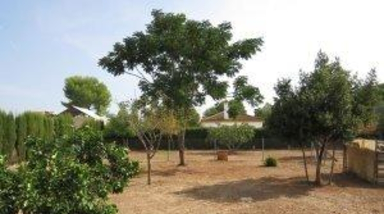 Sevilla - Dos Hermanas - 398m2