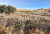 Suelo urbano en venta en la España, Fortuna, ref: TR263916 foto