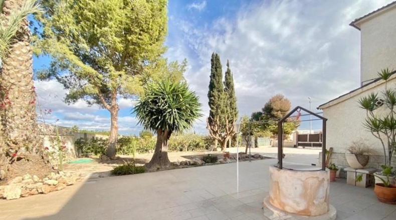Alicante - Orihuela - 3600m2