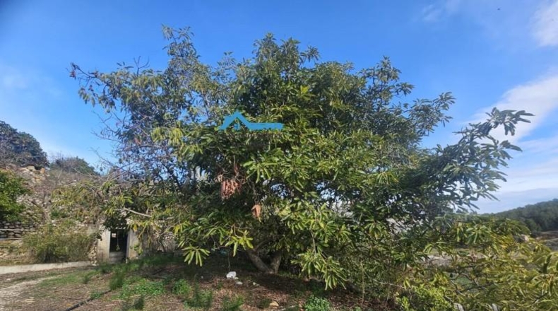 Alicante - Callosa de Ensarriá - 13980m2
