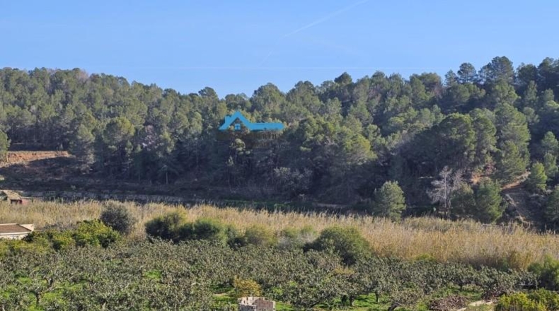 Alicante - Callosa de Ensarriá - 13980m2