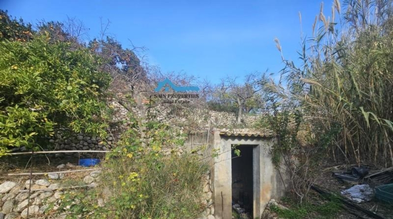 Alicante - Callosa de Ensarriá - 13980m2