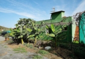 Casa de camp amb terreny en venda a la España, Santa María de Guía de Gran Canaria, ref.: TR278339 foto