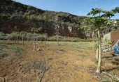 Casa de camp amb terreny en venda a la España, Santa María de Guía de Gran Canaria, ref.: TR278339 foto
