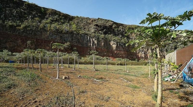 Las Palmas - Santa María de Guía de Gran Canaria - 18983m2