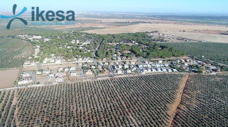 Sevilla - Bollullos de la Mitación - 3361m2
