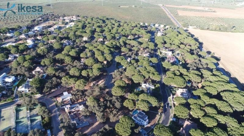 Sevilla - Bollullos de la Mitación - 3361m2