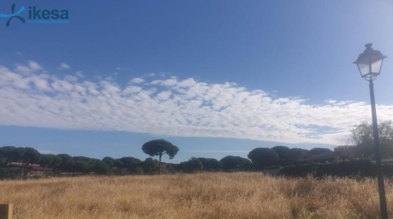 Sevilla - Bollullos de la Mitación - 3361m2
