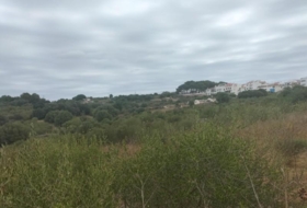 Alaior 17000&nbsp;m²