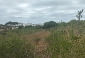 Alaior 17000&nbsp;m²