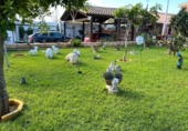 Xalet independent amb terreny en venda a la España, Chiclana de la Frontera, ref.: TR403692 foto