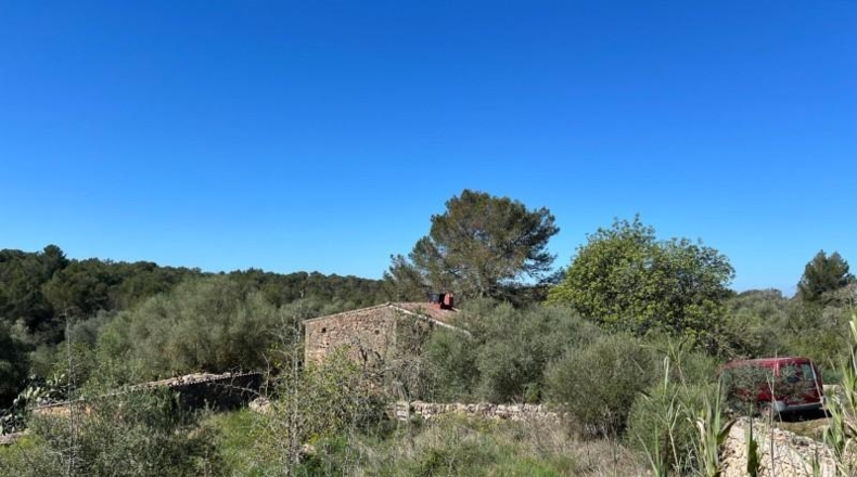 Balearic Islands - Lluchmayor - 180m2