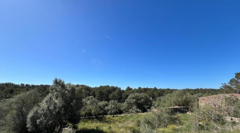 Balearic Islands - Lluchmayor - 180m2