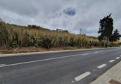 Sòl urbà en venda a la España, Carretera Moya Palmital, ref.: TR175954 foto
