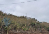 Sòl urbà en venda a la España, Carretera Moya Palmital, ref.: TR175954 foto
