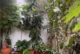 Foto 5
