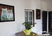 Chalet independiente con terreno en venta en la España, A Rocha, ref: TR355937 foto