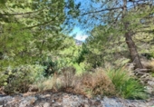 Sòl urbà en venda a la España, Altea la Vella, ref.: TR363416 foto