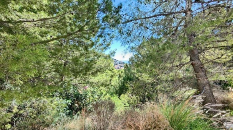 Alicante - Altea - 3535m2
