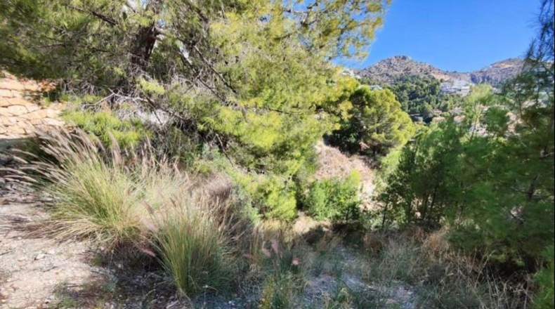 Alicante - Altea - 3535m2