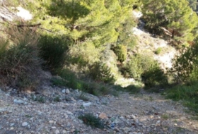 Foto 7