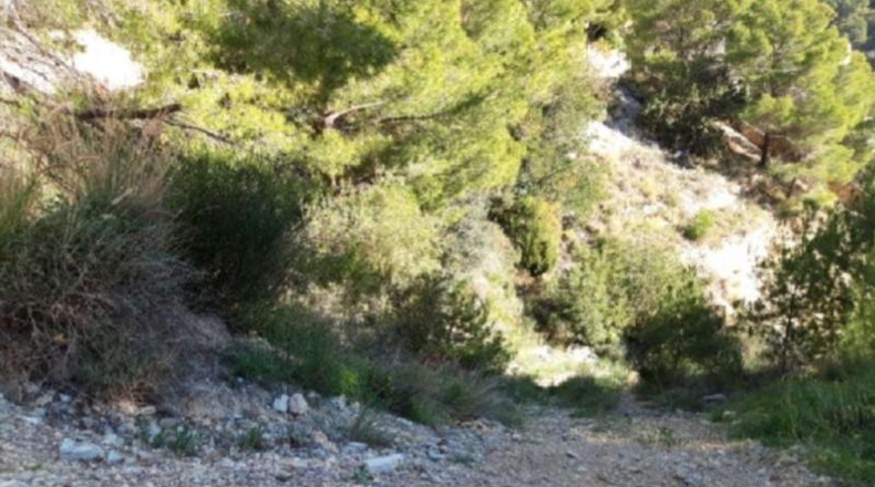 Alicante - Altea - 3535m2