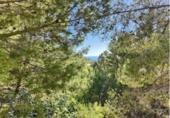 Sòl urbà en venda a la España, Altea la Vella, ref.: TR363416 foto