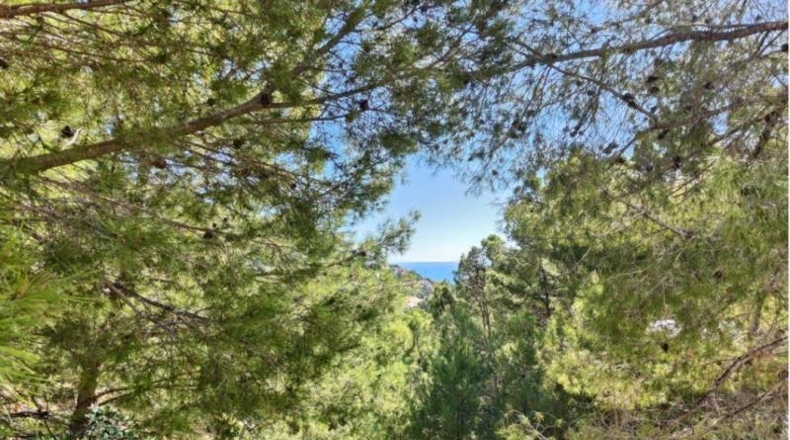 Alicante - Altea - 3535m2