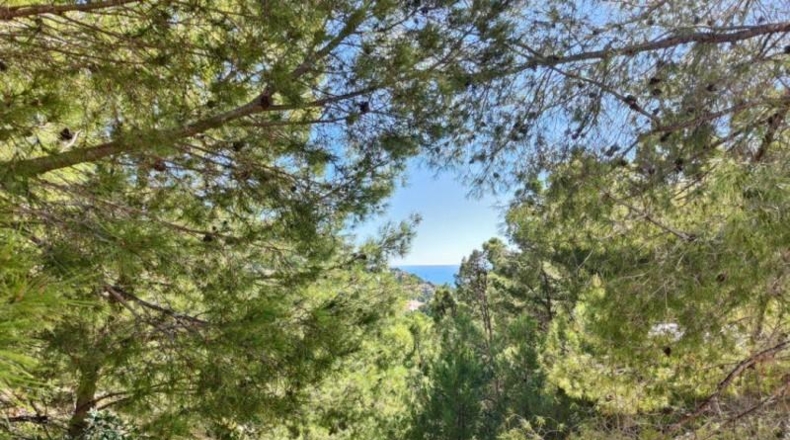 Alicante - Altea - 3535m2