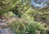 Sòl urbà en venda a la España, Altea la Vella, ref.: TR363416 foto