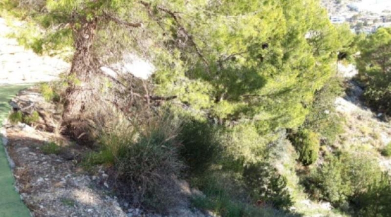 Alicante - Altea - 3535m2