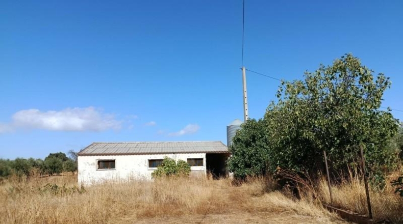 Málaga - Ronda - 26584m2