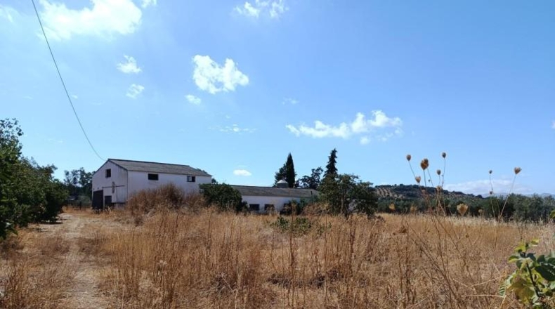 Málaga - Ronda - 26584m2