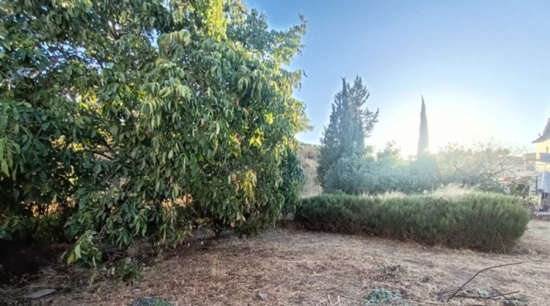 Málaga - Antequera - 800m2