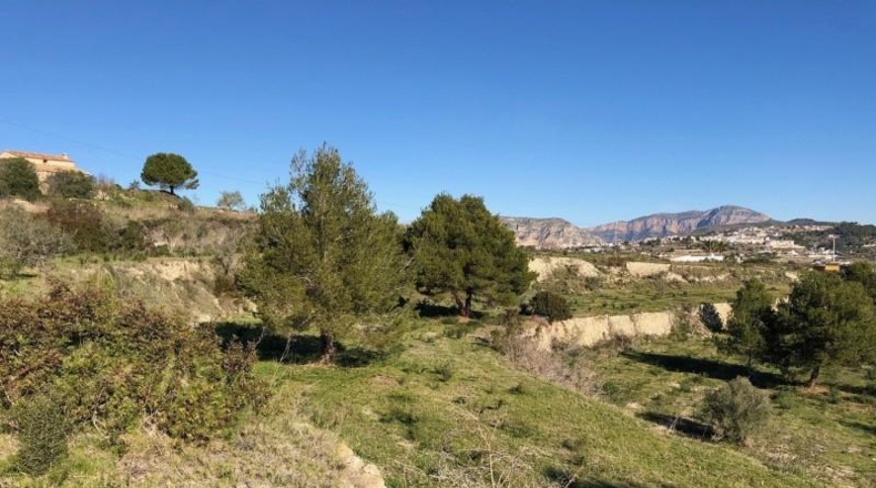Alicante - Teulada - 19200m2
