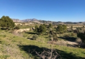 Non-developable land for sale on España, Teulada, ref: TR112724 photo